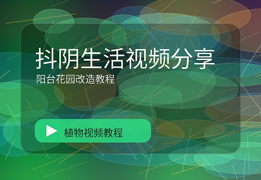 国植一区