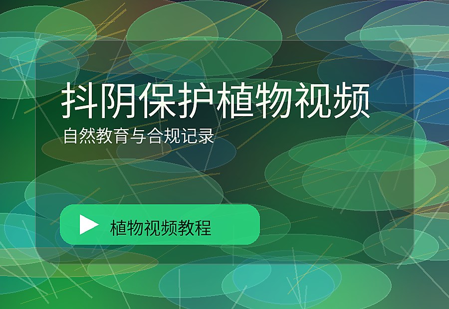 国植一区