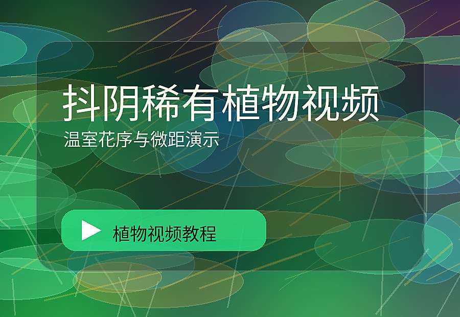 国植一区