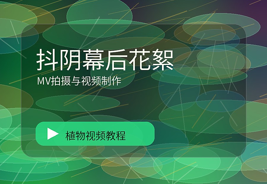 国植一区